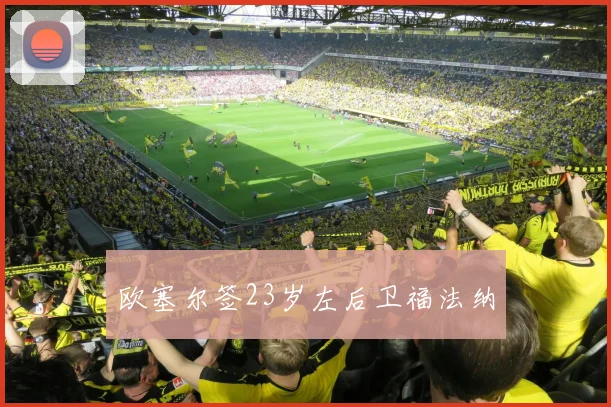 欧塞尔签23岁左后卫福法纳
