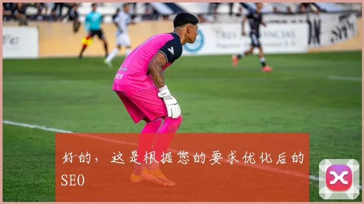 好的，这是根据您的要求优化后的SEO